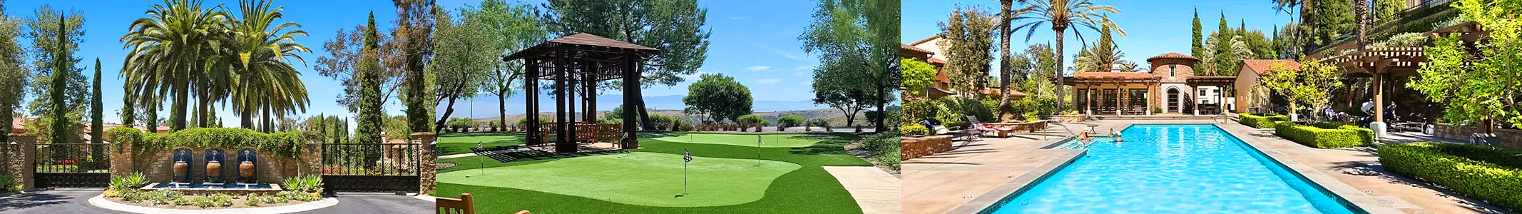 Ziani Newport Coast Homes For Sale