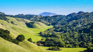 Ventura County Cars & Villas